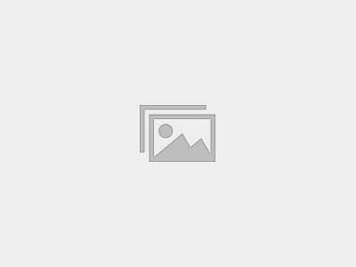 John Ding – DBU March 2025 – Assessor: Anthony Halligan